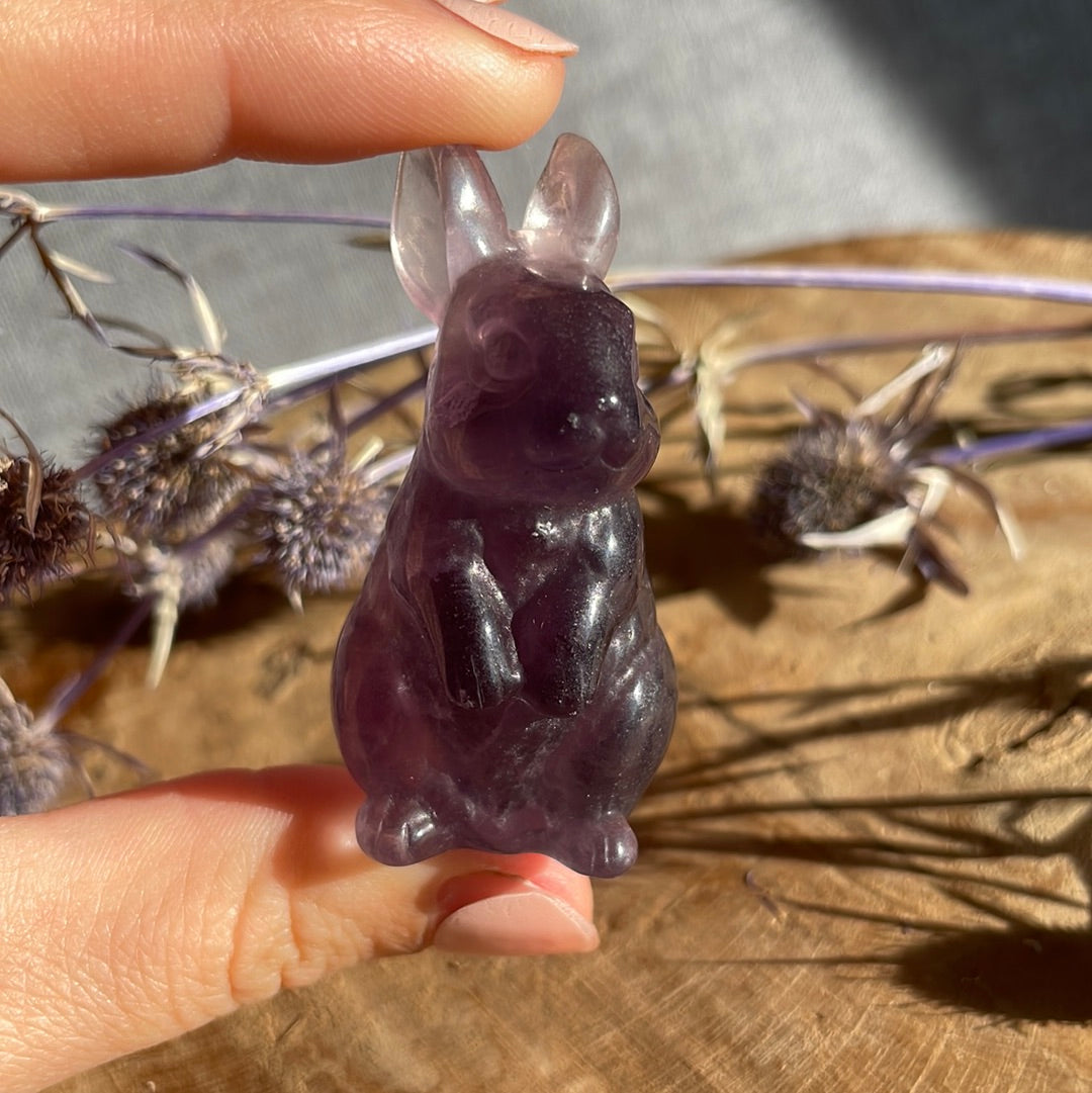 Flourit Hase
