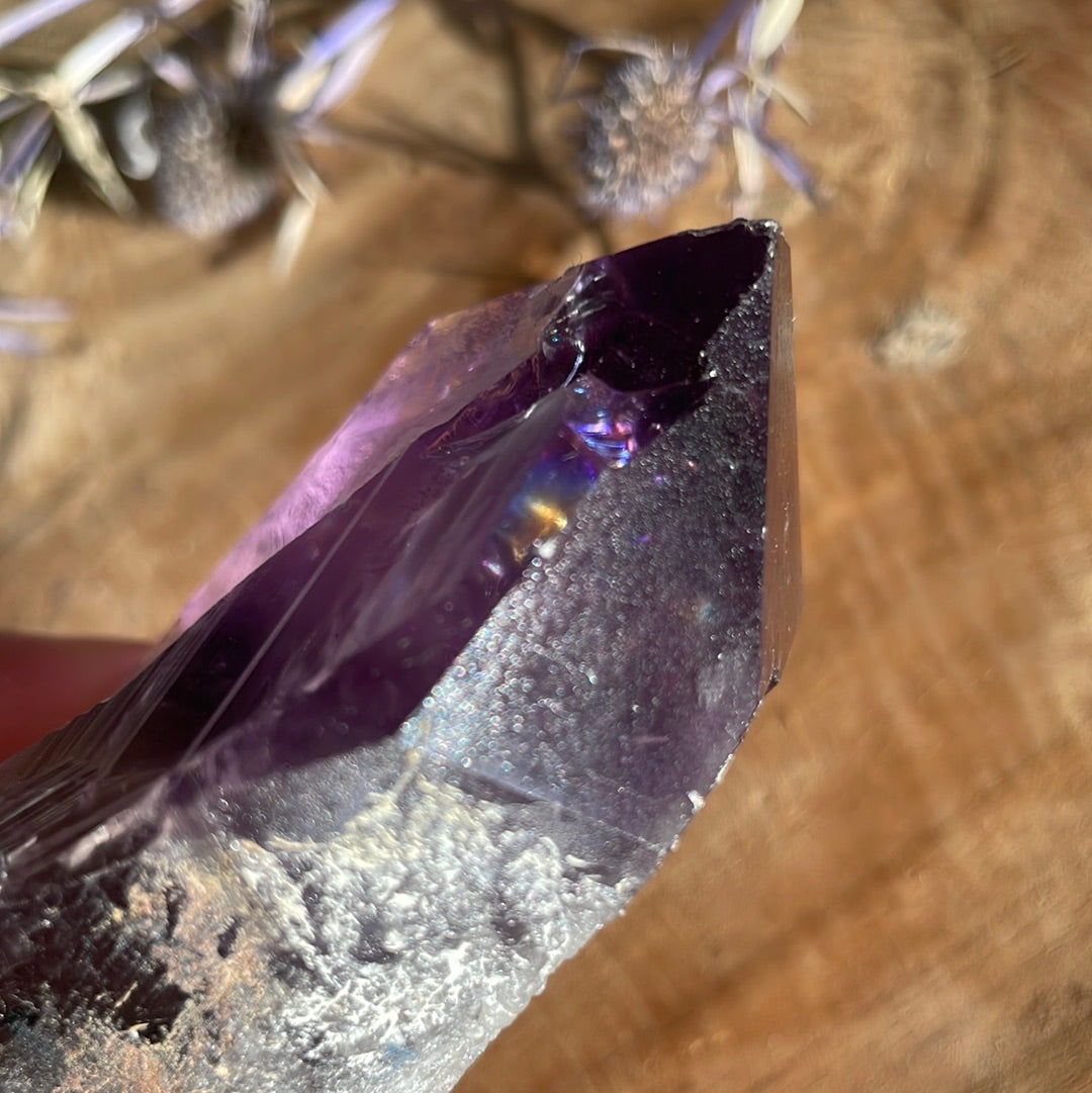 Amethyst Wurzel roh