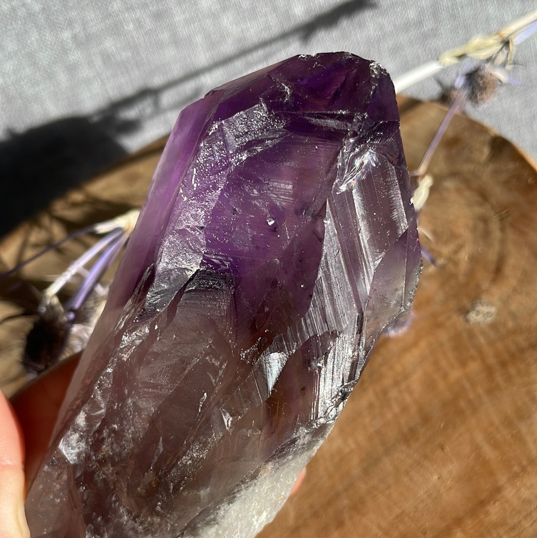 Amethyst Wurzel roh