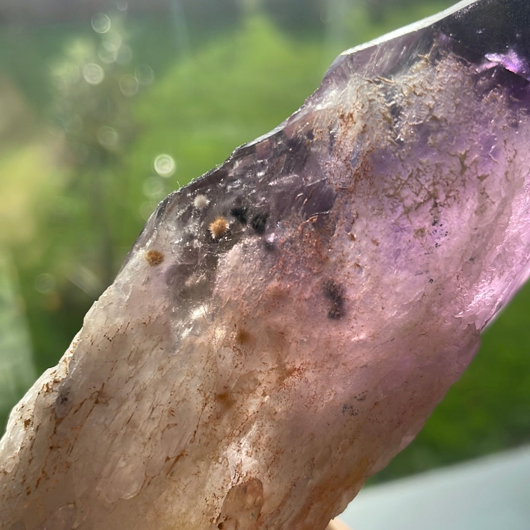 Amethyst Wurzel roh