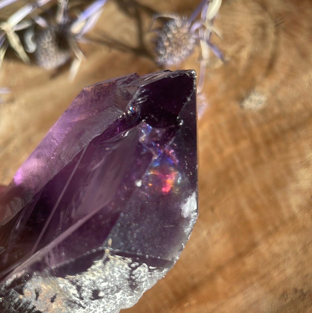 Amethyst Wurzel roh